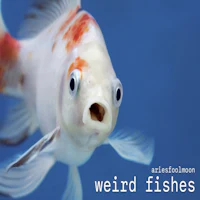 an image of a fish with the words weird fishes